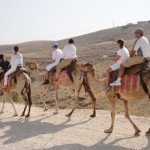 Photo Gallery Camel Ride